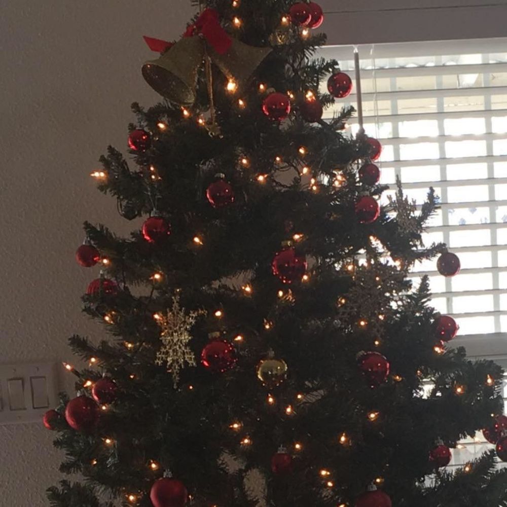 Meet your Posher, Minhdien